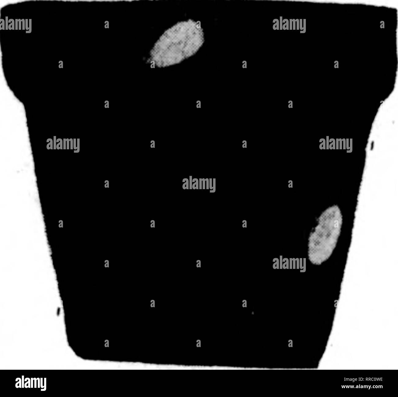 Artis Black And White Stock Photos Images Page 2 Alamy