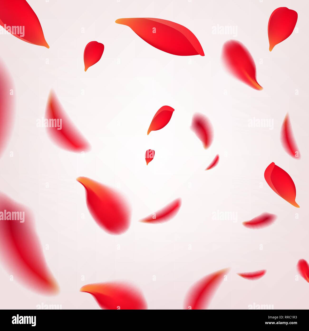 Falling swirl of red rose petals isolated on white background. Vector illustration with beauty roses petals frame, applicable for design of greeting Stock Vector