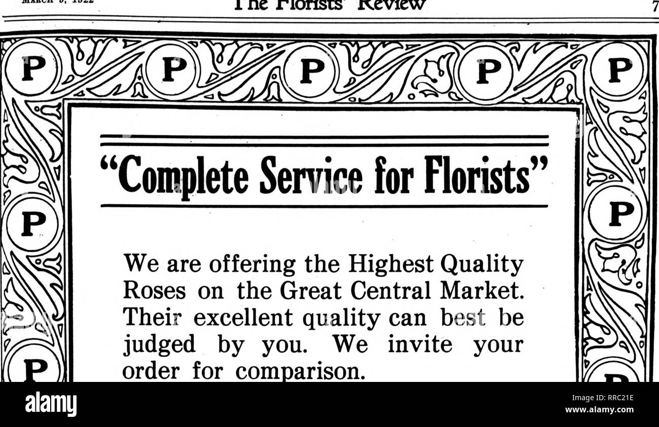 . Florists' review [microform]. Floriculture. MABCH 9, 1922 The Florists' Review. Si ''Complete Service for Florists We are offering the Highest Quality Roses on the Great Central Market. Their excellent quality can best be judged by you. We invite your order for comparison. Order today what you need, in- cluding Cattleyas, Pink and White Spray Orchids, Valley, Darwin Tulips, Rainbow and Purity Freesia, Carnations, Sweet Peas, Double Violets, Smilax, Ferns, Sprengeri and Plumosus. We issue a price list weekly, con- taining special feature quotations that will attract the most critical buyer. W Stock Photo