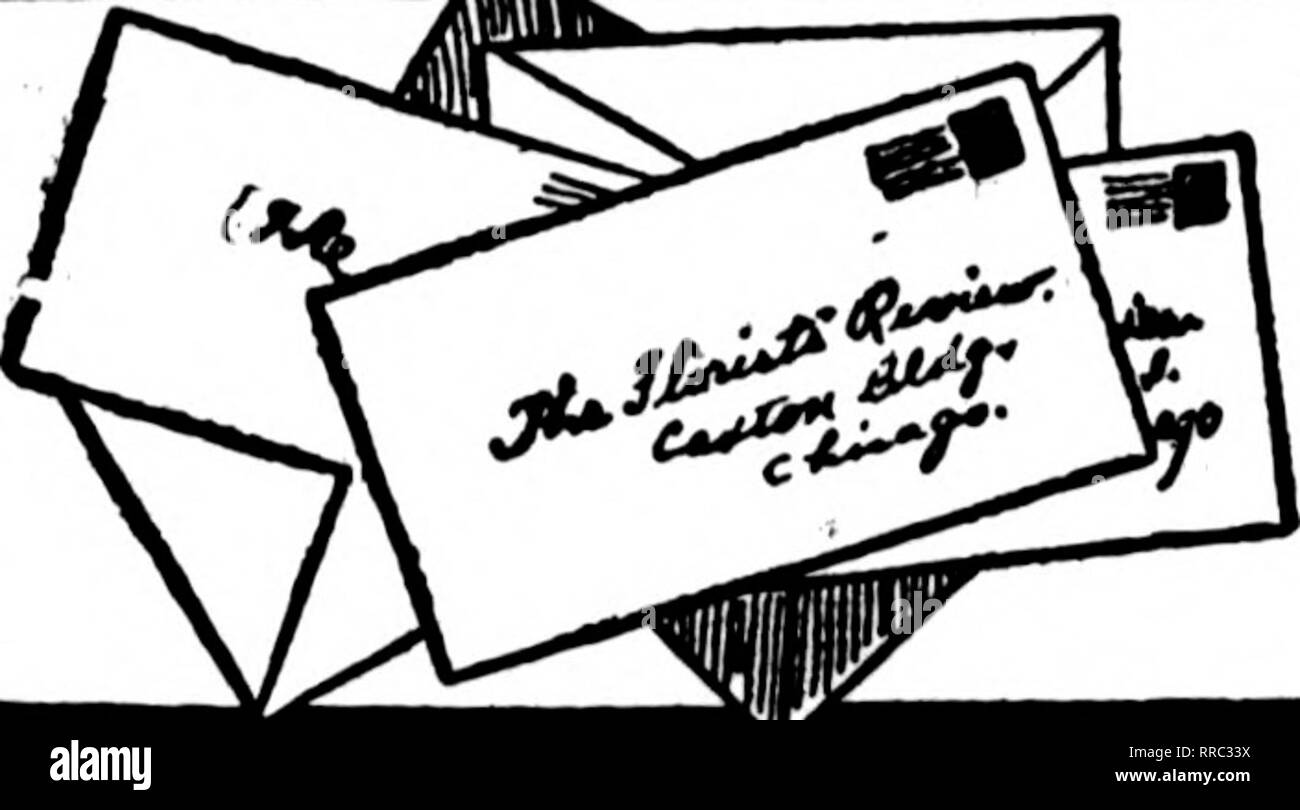 Aspidistra pot hires stock photography and images Alamy