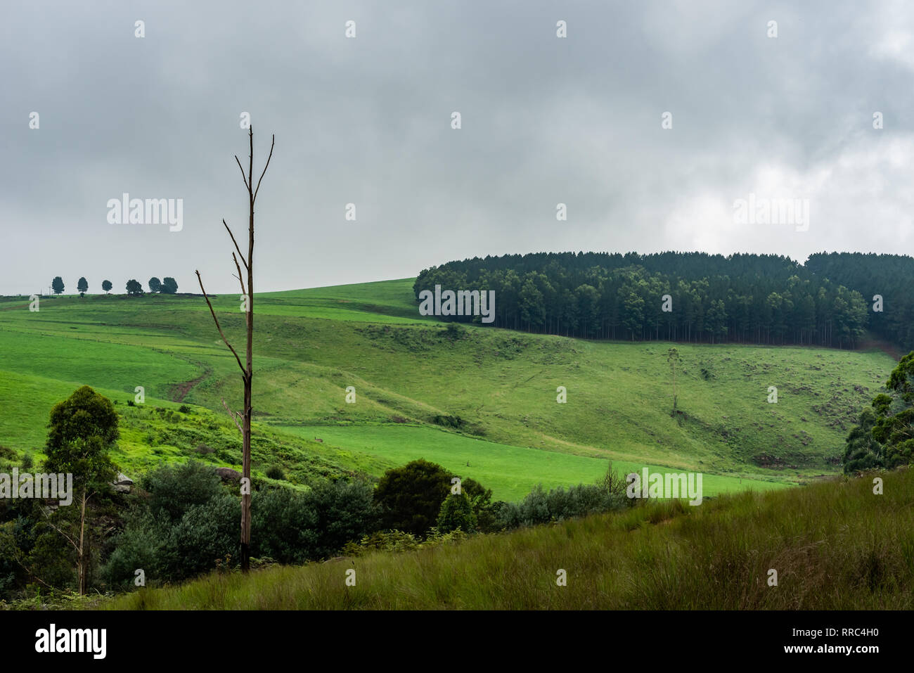 Farms alongside the Karkloof river in Kwazulu Natal, South Africa Stock