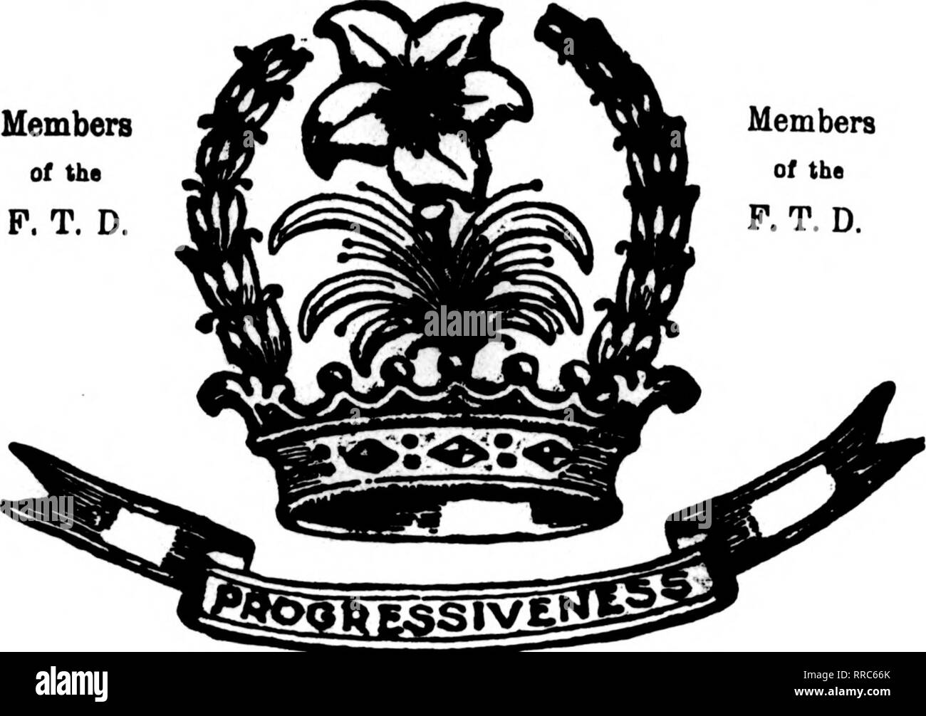 . Florists' review [microform]. Floriculture. 180 Asylum Street Member F. T. D. Waterbury, Conn. RYAN &amp; POWERS 30 Center St. Special attention WestoTer and St. Margraret School orders Members F. T. D. and Rotary Florist. BRIDGEPORT, CONN. James Horan &amp; Son 943 MAIN STREET Largest Growers in this District Membebs Florists' Telegraph Delivery. Bridgeport, Conn. John Reck &amp; Son. 985 Main Street erably since the social season has closed and society folks are off on their sum- mer vacations. Last week saw prac- tically the end of the season. Dealers will depend on a few late weddings an Stock Photo