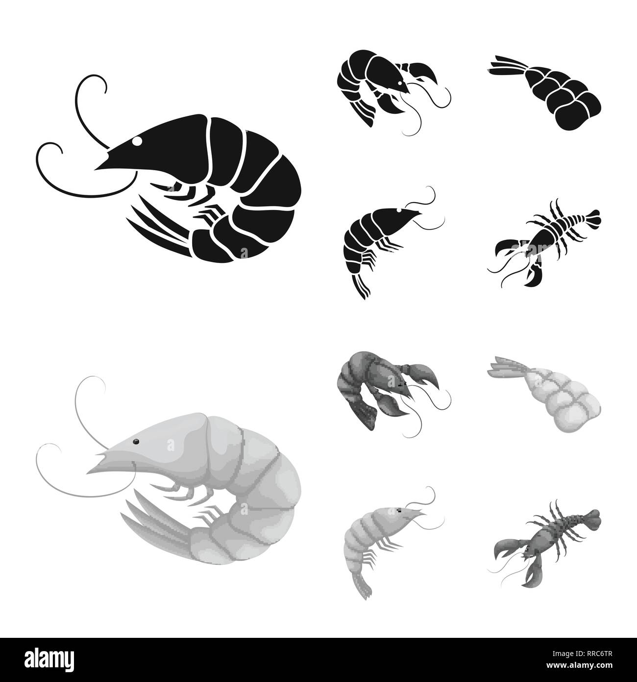prawn,lobster,raw,red,creature,fresh,boiled,cooked,underwater,luxury ...
