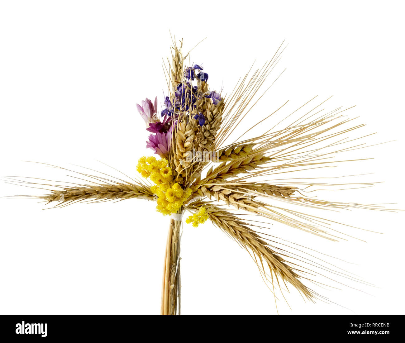 Related dried wheat ears with flowers on a white background Stock Photo