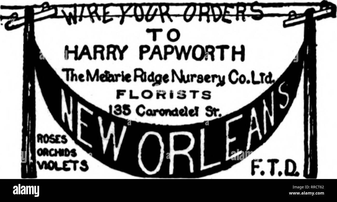 . Florists' review [microform]. Floriculture. Decatur, 111. 141 MERCHANT ST. GOOD SERVICE MEMBER F. T. D. BACKED BY LARGE GREENHOUSES. NEW ORLEANS, LA. CHAS. EBLE OLDEST FLORIST SOUTH 121 BARONNE STREET Member Florists' Telegraph Delivery.. Please note that these images are extracted from scanned page images that may have been digitally enhanced for readability - coloration and appearance of these illustrations may not perfectly resemble the original work.. Chicago : Florists' Pub. Co Stock Photo
