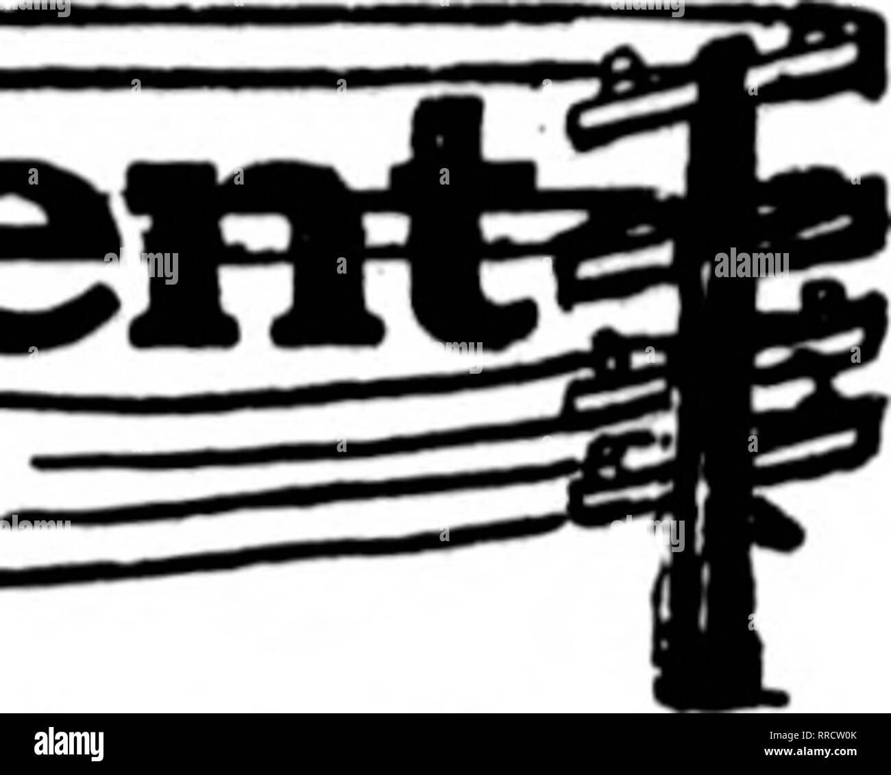 C e p t flower Black and White Stock Photos & Images Alamy