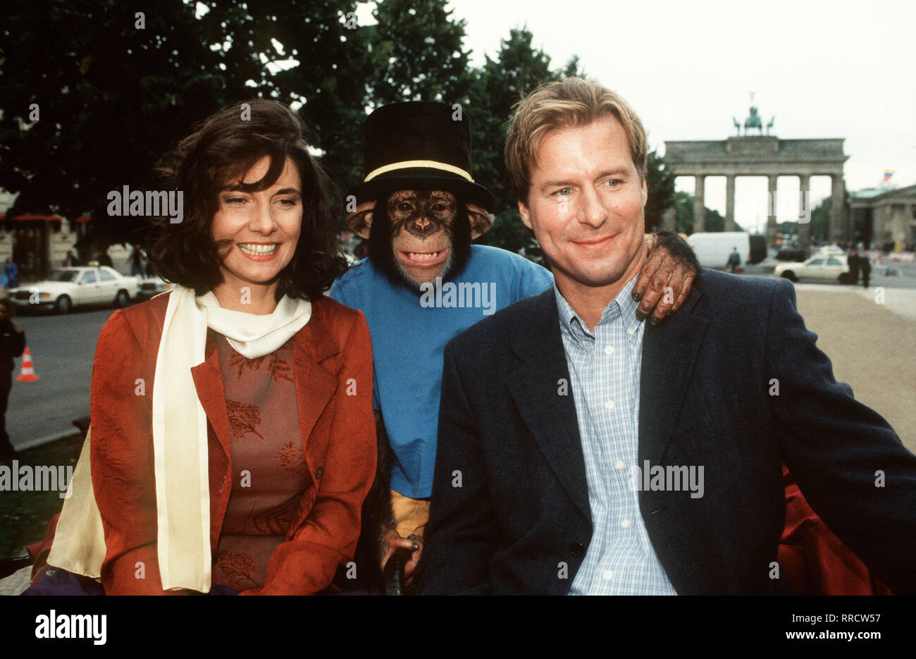 Martin Rosen High Resolution Stock Photography And Images - Alamy