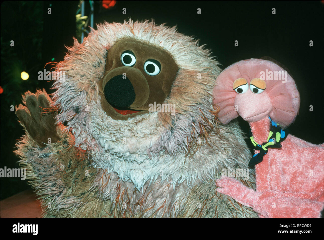 Die Sesamstrassen-Nacht SAMSON und TIFFY. aka. 30 Jahre Sesamstraße /  Überschrift: DIE SESAMSTRASSEN-NACHT Stock Photo - Alamy