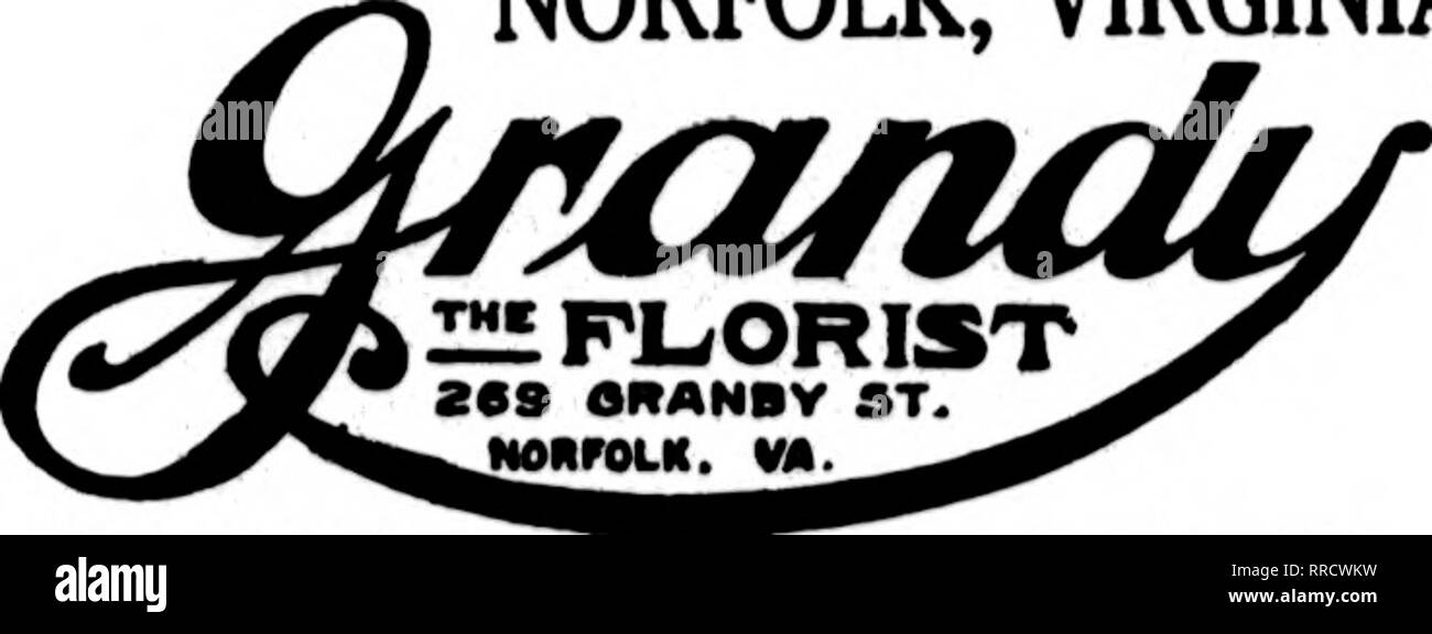 . Florists' review [microform]. Floriculture. 115 E. Main St. Member FloriBfe' Telegraph Delivery Association Richmond, Va. The Hammond Company, Inc. LEADING FLORISTS 1(19 EAST BROAD STREET ROANOKE, VA FALLON, Florid Member Florists' Telegraph Delivery Ass'n WEST VIRGINIA WESTERN MARYLAND The H. Weber &amp; Sons Co. Fairmont, W. Va. Clarksburg, W. Va. Oakland, Md. CommiBSions Promptly Ezecated. QUALITY EXCELLENCE ABILITY Members Floriete' Telegraph Delivery Aasociation. Portsmouth, Va. Cotton The Florist. 333 High St. PETERSBURG, VA. MRS. ROBT. B. STILES. Florid Phone 910 1202 W. Washington St Stock Photo