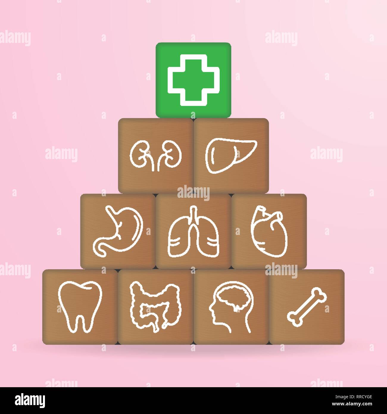 Human Organs Icons On Wooden Blocks Isolated On A White Background ...
