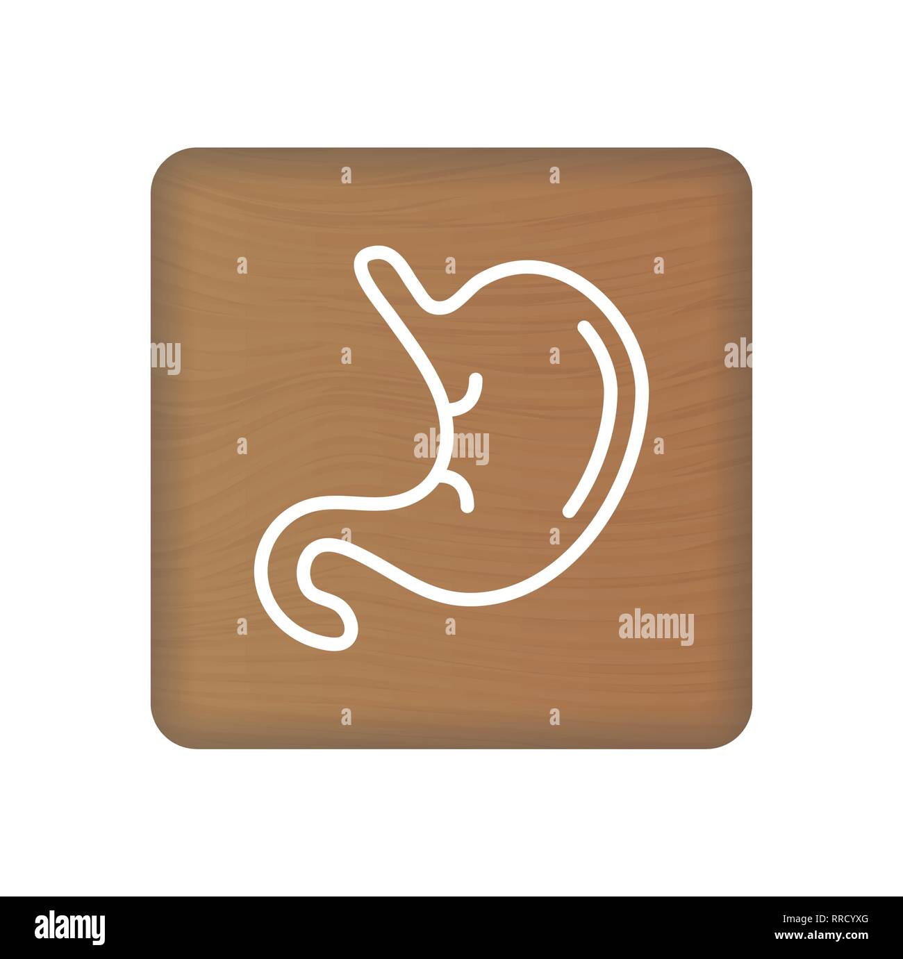 Human Stomach Icon. An Internal Organ Vector. Human Anatomy Illustration. Sign Symbol For Medical Presentation On Wooden Blocks Isolated On A White Stock Vector