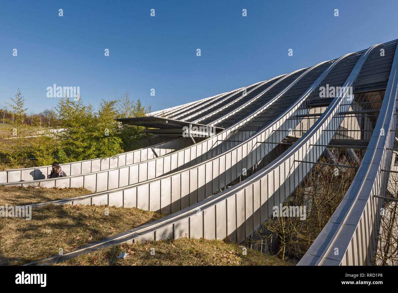the capital of Switzerland has a new emblem, the Zentrum Paul Klee. The  museum was designed by Renzo Piano in the form of a wave in Bern,  Switzerland Stock Photo - Alamy