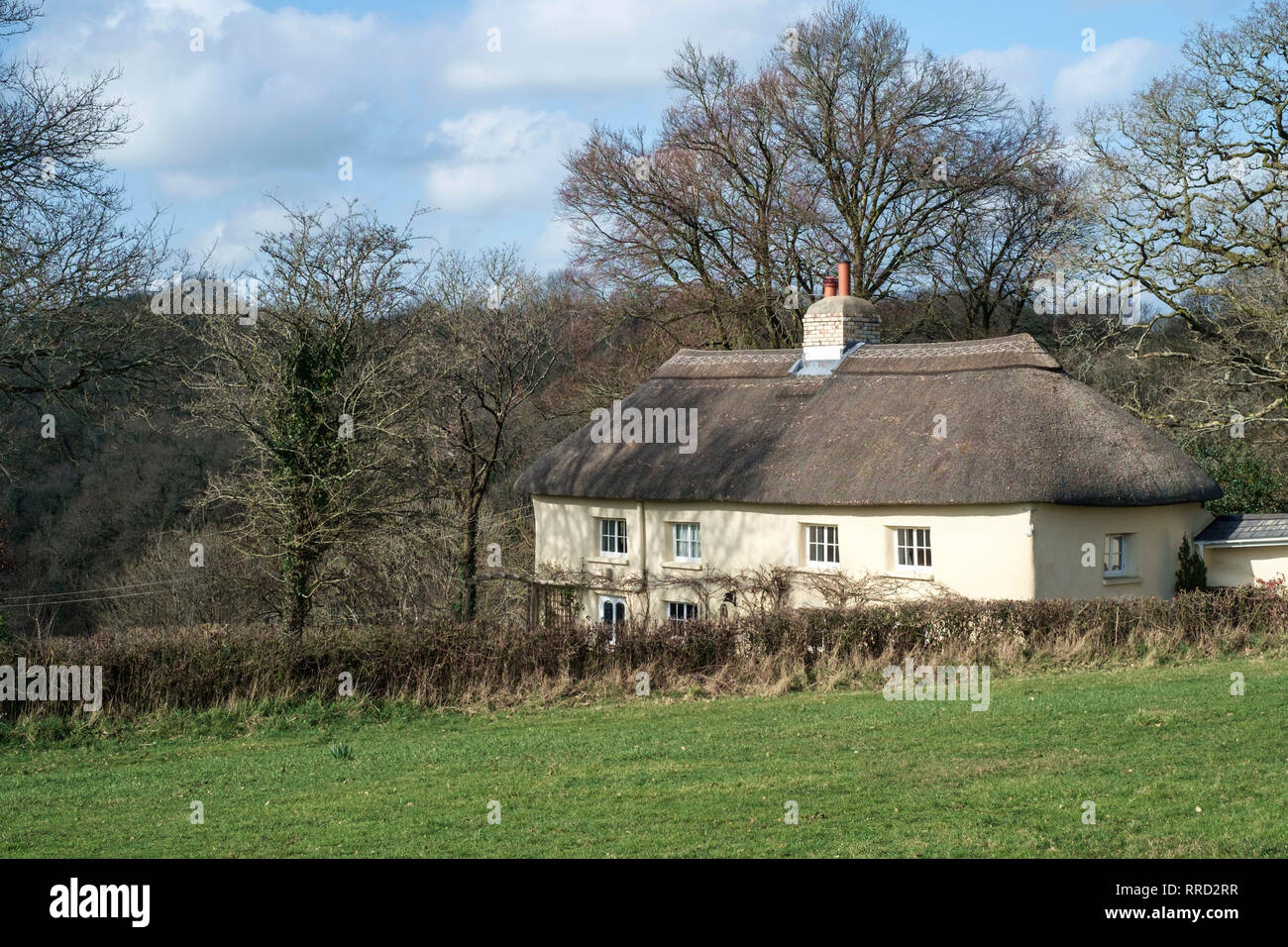 Dolton Stock Photos & Dolton Stock Images Alamy