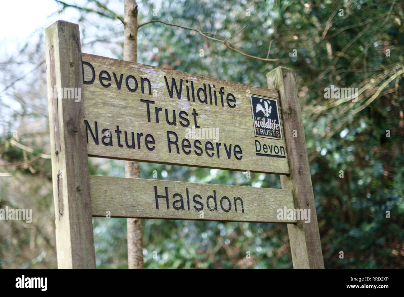 Halsdon nature reserve hires stock photography and images Alamy