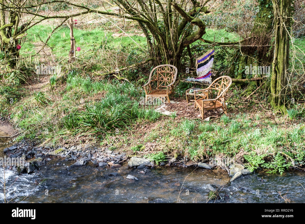Milhams and Halsdon nature reserve. Around Dolton a village in the