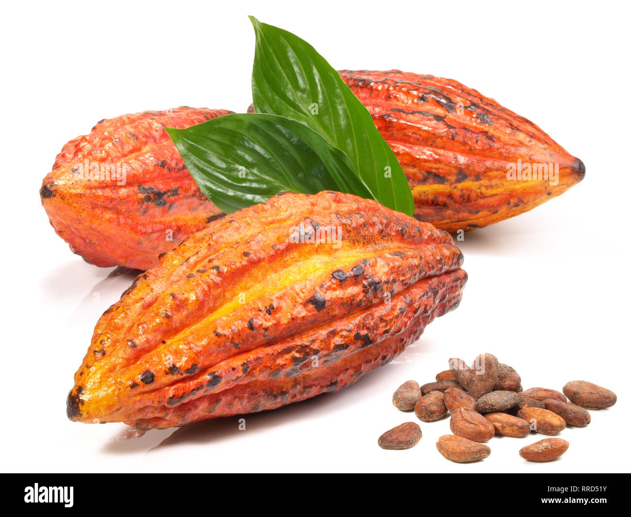 Cacao fruit hires stock photography and images Alamy