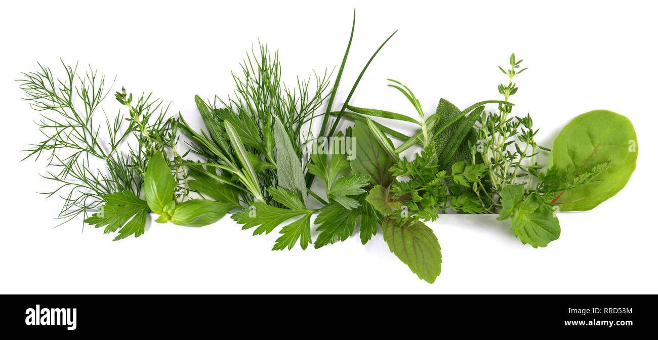 Fresh Herbs - Panorama on white Background Stock Photo
