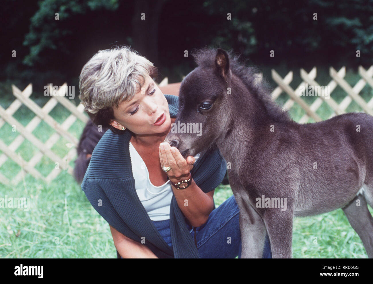TIERÄRZTIN CHRISTINE Christine (USCHI GLAS) kümmert sich um die Tierarzt-Praxis ihres Vaters, als dieser einen Herzinfarkt erleidet. Hier mit einem Fohlen. Regie: O. W. Retzer / Überschrift: TIERÄRZTIN CHRISTINE / BRD 1994 Stock Photo