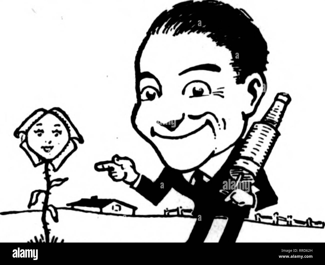 Mealy bug Cut Out Stock Images & Pictures Alamy