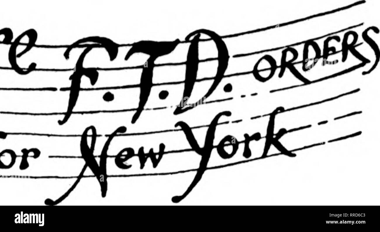 Little silver and new jersey Cut Out Stock Images & Pictures Alamy