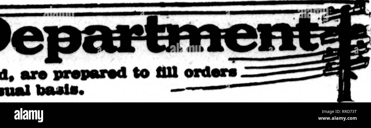 . Florists' review [microform]. Floriculture. The nortsta whose cards apvear on the paces earrylnc thU head, are prepared to dll ord« from otharflorlsts lorlooal deUvery on the nsual basts.. ATLANTA, GA Wire Your Orders To. Please note that these images are extracted from scanned page images that may have been digitally enhanced for readability - coloration and appearance of these illustrations may not perfectly resemble the original work.. Chicago : Florists' Pub. Co Stock Photo