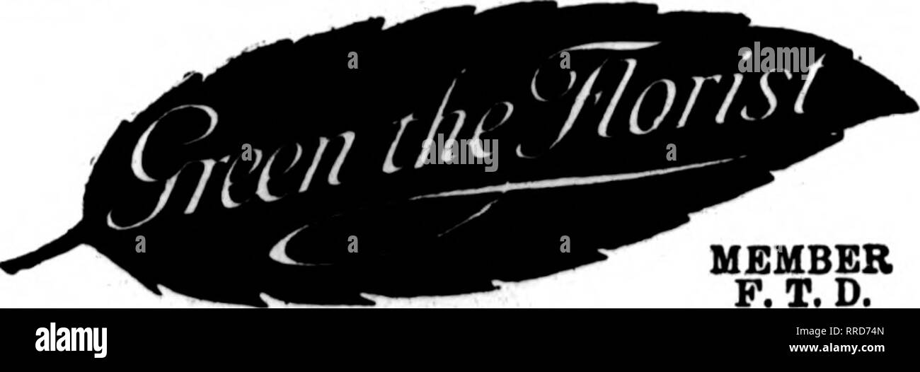 Cremer street hires stock photography and images Alamy