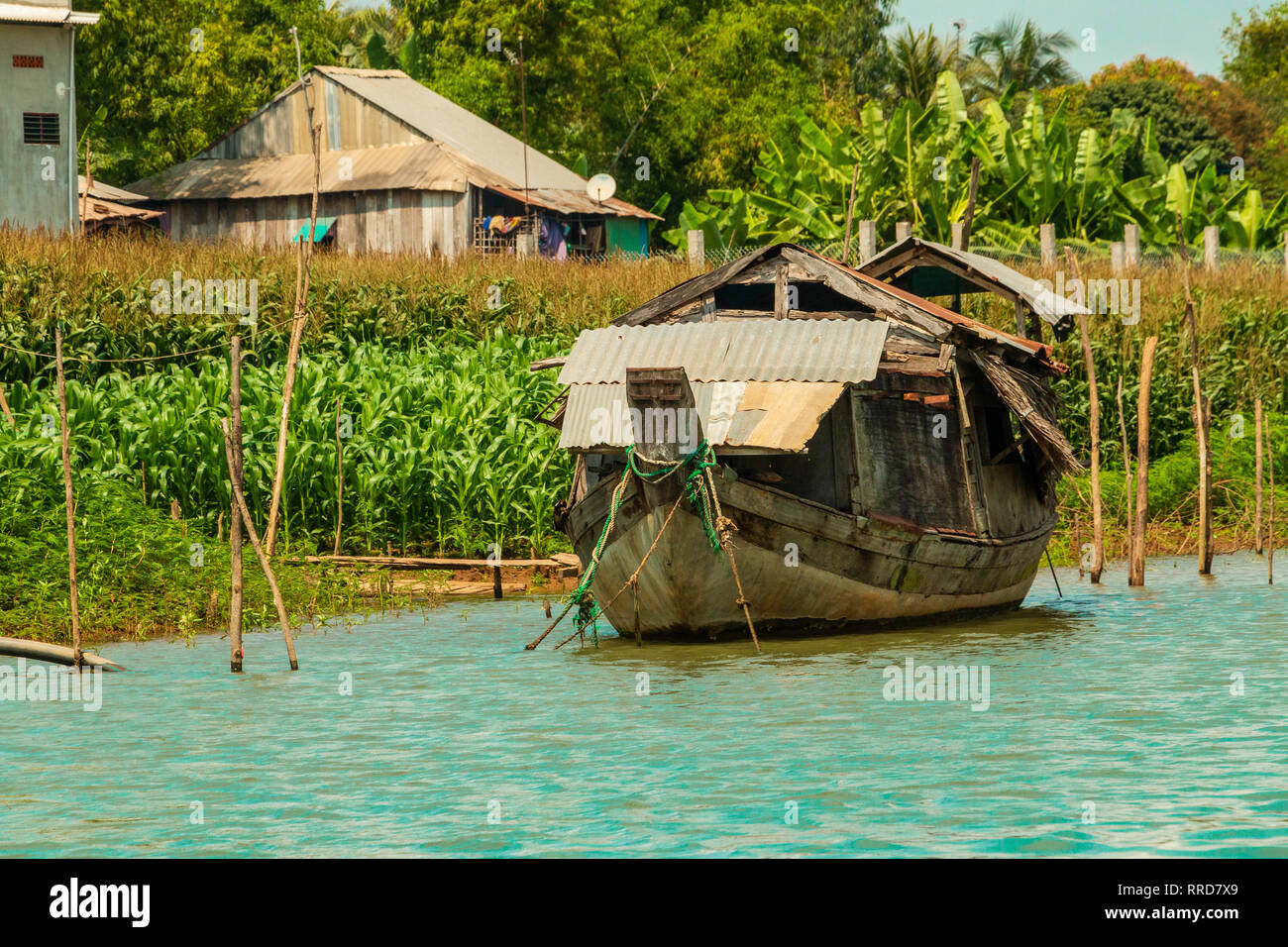 Daily life in Vietnamese floating villages in Tan Chau,, An Giang Province Mekong River, Vietnam, Asia Stock Photo