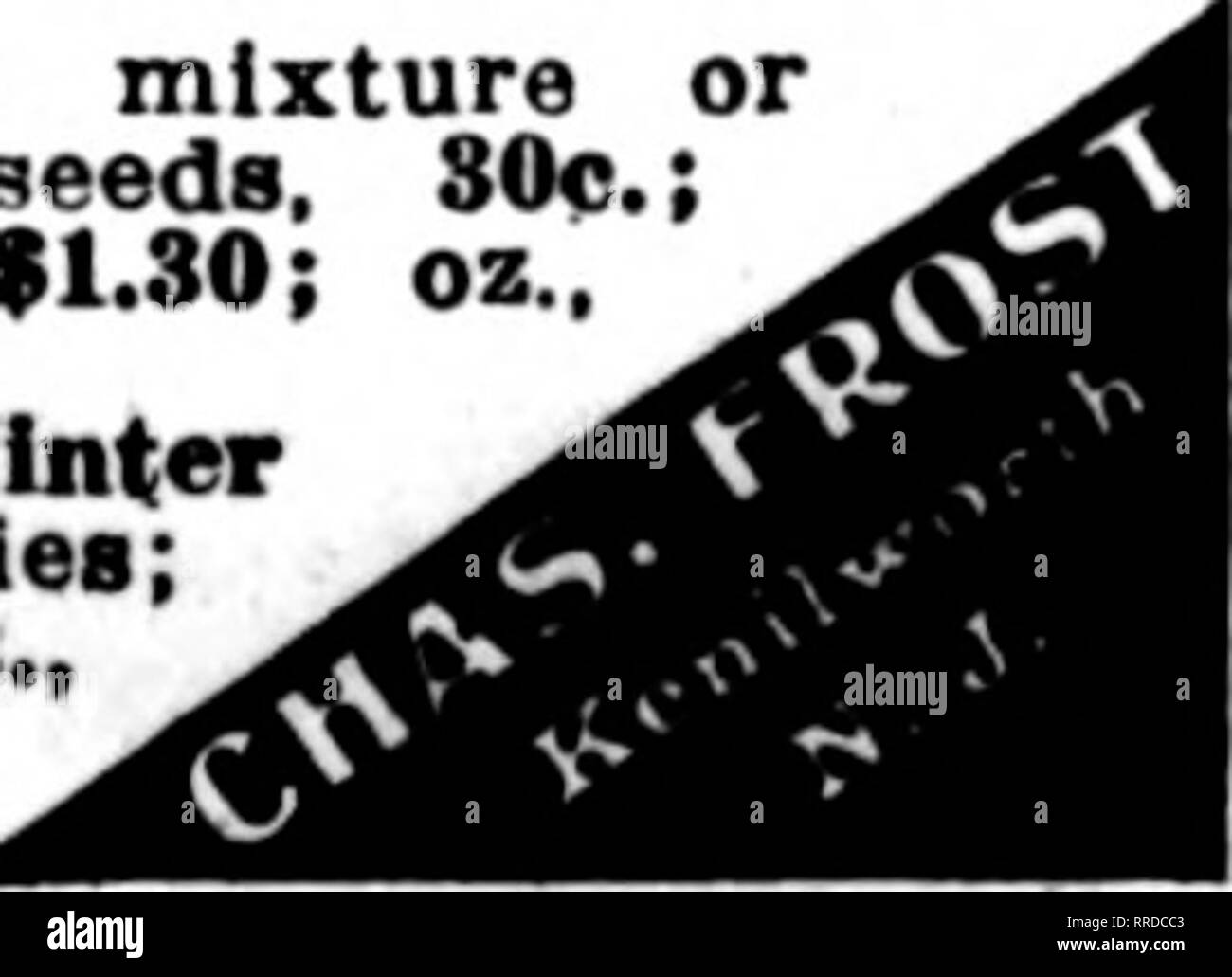 . Florists' review [microform]. Floriculture. For Pedigree Strains of VEGETABLE, FARM AND FLOWER . . SEEDS Writm to Watkins &amp; Simpson, Ltd. 27-29 Dtutj Lano LONDON, ENGLAND Kelweof 's Pedigree Strains of FLORISTS* FLOWER SEEDS 300 Medals for Flowers, etc. Hundreds of First-Class Certificates Write for prices to KELWAY &amp; SON, Whol«*«l* SEED GROWERS. LANGPORT, ENG. Cay*: &quot;JUtwv Lunert.&quot; Mention The ReTlew when you write. GLADIOLI FOR FORCING OR OUTSIDE PLANTING UNITED BULB CO., Mt. Clemens, Mich. LEADING GROWERS OF GLADIOLI Mention The Review when you write. ST. LOUIS SEED CO.  Stock Photo
