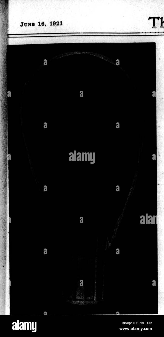 Opening Flower Basket High Resolution Stock Photography and Images Alamy