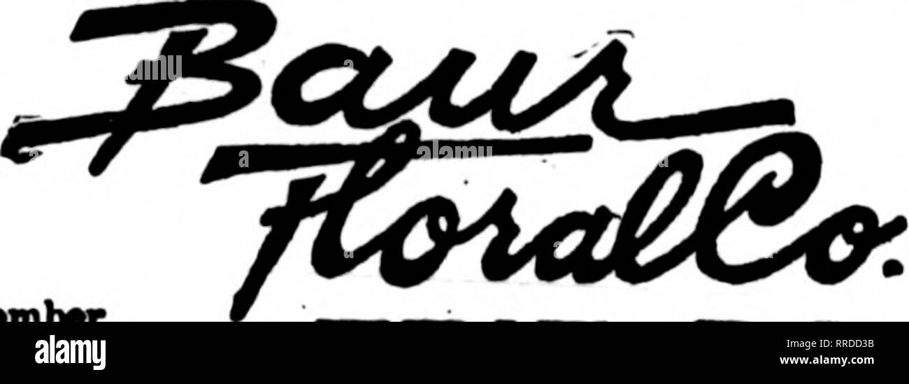 . Florists' review [microform]. Floriculture. HANOVER, PA. CREMER. Florist EVERYTHING IN CUT FLOWERS We serve all points in Southeastern Pennsylvania. Special Delivery Service to Gettysburi;, Pa. MEMBER F. T. D. Williamsport, Pa. W. J. EVENDEN-S SONS THE LEADING FLORISTS Members Telegraph Delivery Association J. V. LAVER ERIE, PA. Write, Phoneor Wircx&amp;'TphDeiwfr;. Member P.T.D. ERIE. PA. Erie, Pa. Charles G. Offerle 2408 Poplar Street New Kensington, Pa. McRAE-JENKINSON CO. Member Vlorlsts' Telegraph Delivery. Members Flortsts* Telegraph Delivery Aisoclatlon. EVENDEN BROS. cSi^pSSPw^i. Wil Stock Photo