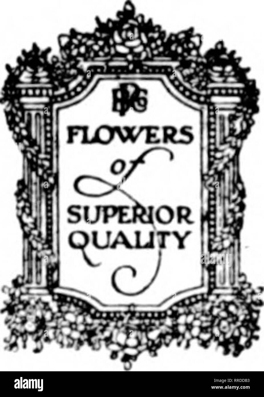 . Florists' review [microform]. Floriculture. The Florists^ Rcvfcw Jdni 16, 1921 WEDDING ORCHIDS Cattleya Gigas—The deep lavender Wedding Orchid in splendid supply Valley for the June Bride i$|p^ A Quarter of a Million Valley &lt;^^ for Market in June Summer Novelty Flowers The growing demand for the attractive old- fashioned flowers has prompted us to offer still another group of &quot;Flowers of Superior Quality.&quot; For the present Cornflowers Feverfew Candytuft Gypsophila Sweet William Larkspur Coreopsis Daisies Gaillardia Snapdragon Order an assortment of these flowers today.. Please no Stock Photo