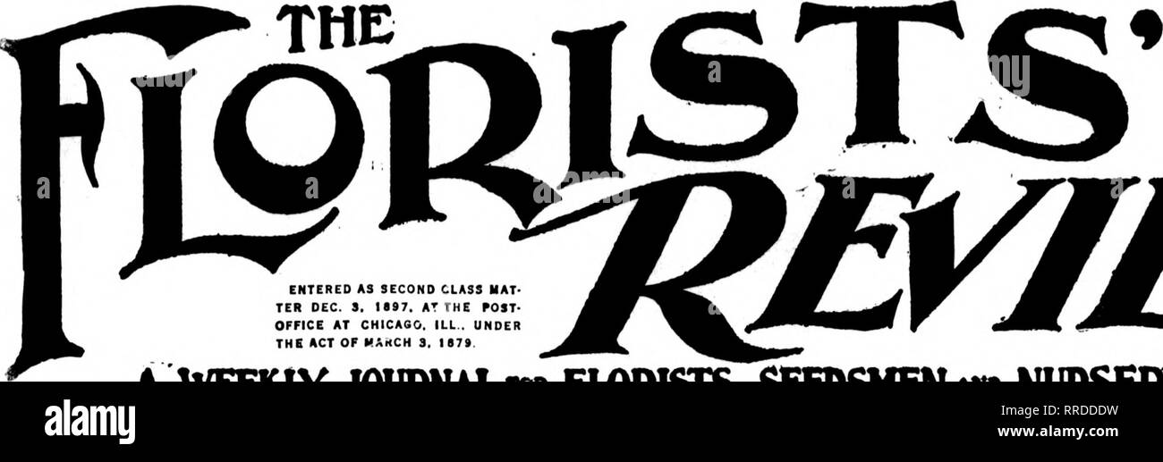 . Florists' review [microform]. Floriculture. ^ '^?nucvL''. to cents the copy SUBSCRIPTIONS $2.00 i- Per eai ENTERED AS SECOND CLASS MAT TER DEC. S. laS?. AT THE POST- OFFICE AT CHICAGO, ILL.. UNDE THE ACT OF HAKCH 3. IS?! yaoKzer A WEEKLY JOURNAL «» FLORISIS SEEDSMEN «» NURSERYMEN. Fr.ORISTS' PUBLISHING CO.. 520 Caxton Balldine, 608 South Dearborn St., CHICAGO. Vol. XLIX. CHICAGO, NOVEMBER lO, 1921. No. 1250. Single Narcissi Per IIKI Pel- lOlK) Kiiiliress. MoUier bulbs $4.«0 $4a.OO Golden Simr, .Mother bulbs 4.4(» 40.OO Sir Walkin. .Motlier bulbs 4.70 44.00  ictoiia, Motlier bulbs 4.TO 44.00 Stock Photo