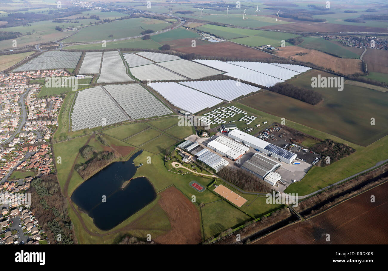 aerial view of the acres of polytunnels at Makins Soft Fruit Enterprise at Micklefield, Garforth, Leeds 25 Stock Photo