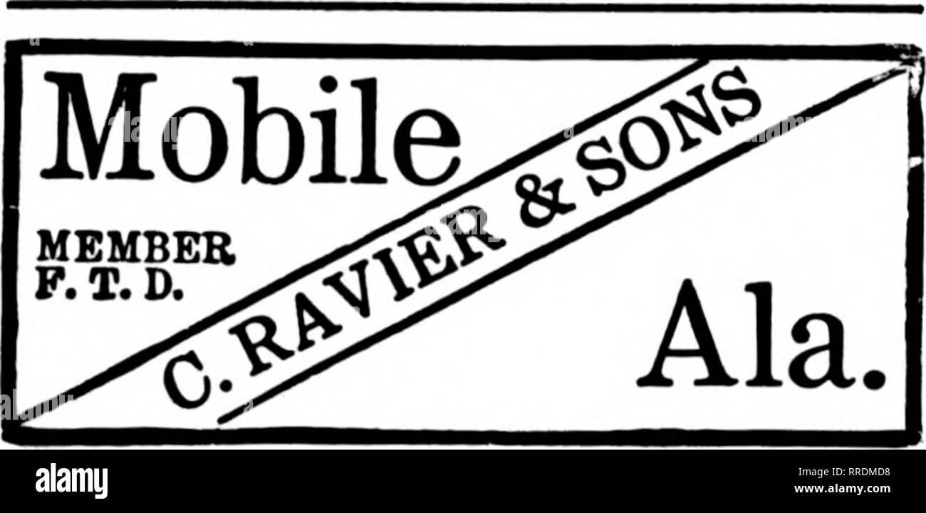 Percy jackson Black and White Stock Photos & Images Alamy