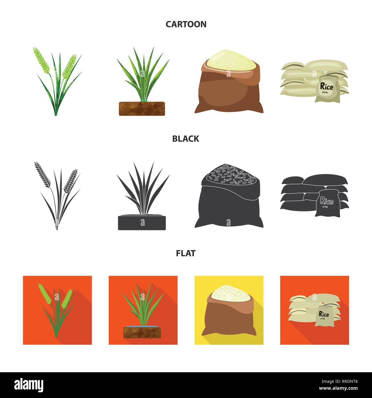 grain,panicle,bag,rice,leaf,cereal,unpolished,garden,wholesale,harvest ...