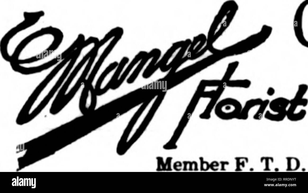 . Florists' review [microform]. Floriculture. Orders ^. J Carefully Executed EVANSTON, ILL. WILMETTE, ILLc 1614 Sherman Ave. JOHN WEILAND 1161 Wilmette Ave. TWO STORES Catarinc to the bat trade in CUeMCo'iBleh North SbereSaborbt. MEMBER F. T. IX CHICAGO THE PALMER HOUSE FLORIST 17 East Member F. T. D. MoNROE St.. committee and will start working on the plans for the dahlia show, to be held October 5 and 6. Exliil)its for the August 10 meeting will bo twelve gladioli, six tomatoes and six ears of corn. Arthur Cook, Sec'y. WASHINGTON, D. C. The Market. Ru.sincss is slow at jiresent and there is  Stock Photo