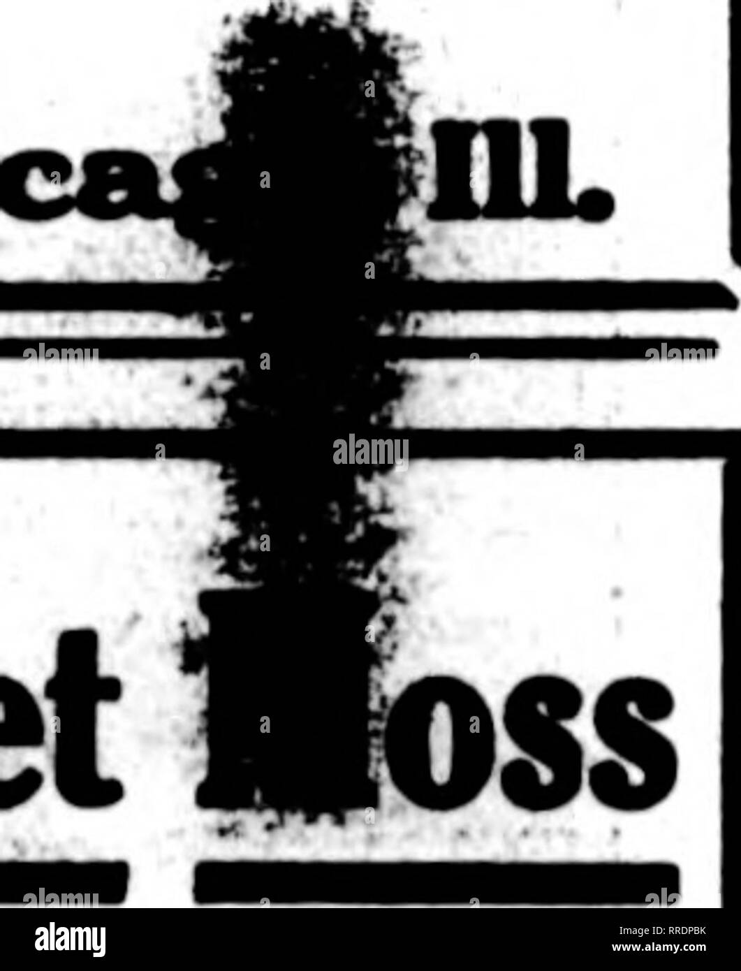 J masa hires stock photography and images Alamy