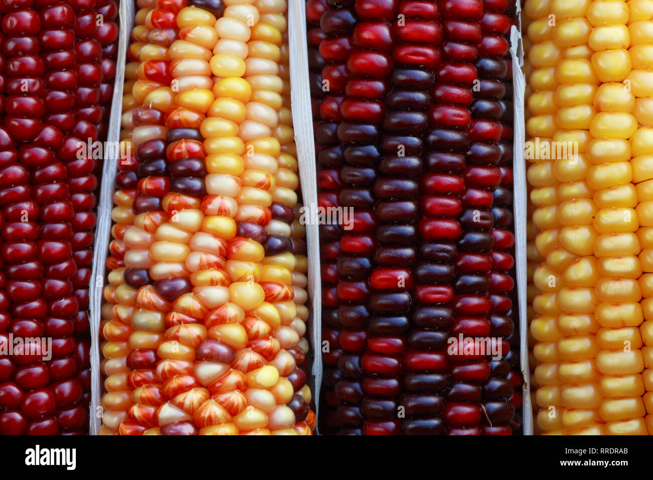 Coloured maize hi-res stock photography and images - Alamy