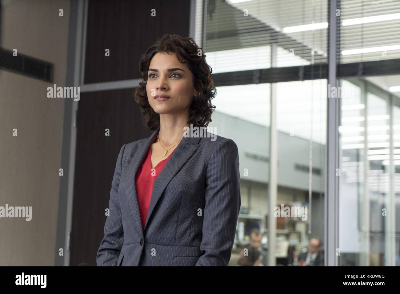 AMBER ROSE REVAH, THE PUNISHER, 2017 Stock Photo - Alamy