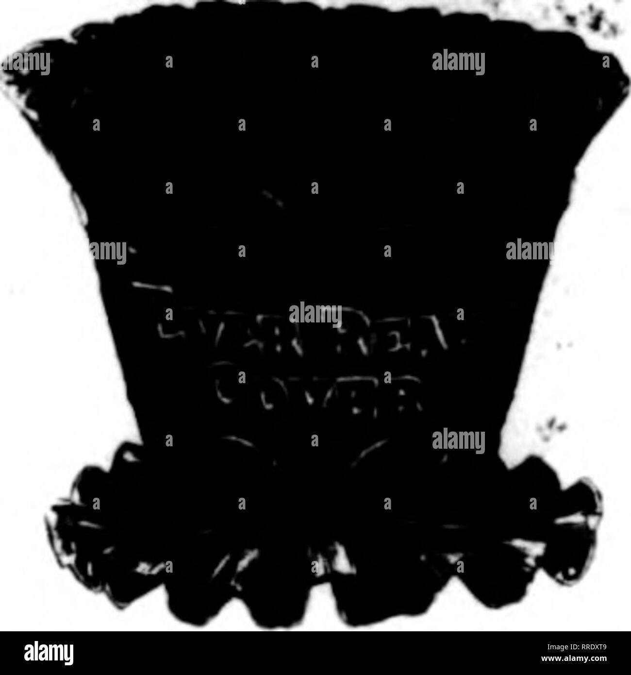 Buffalo avenue Black and White Stock Photos Images Alamy