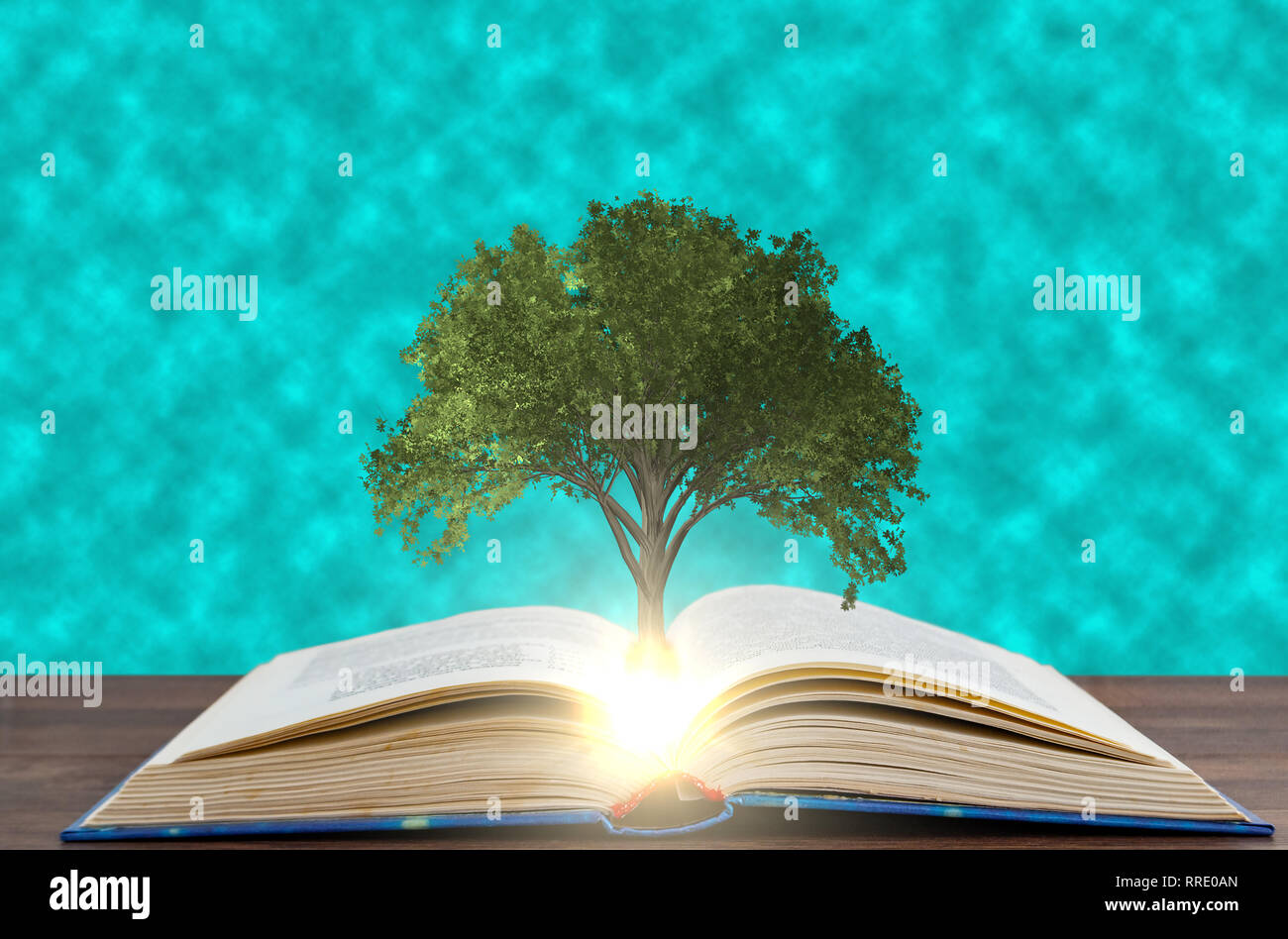 tree growing with a book on the background of the water in the pool Stock Photo