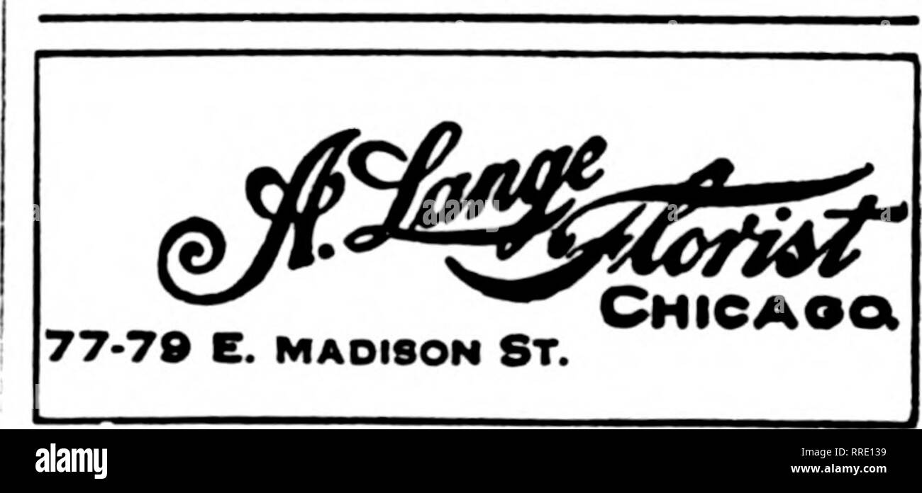 . Florists' review [microform]. Floriculture. Wa cater to those who reauire CHICAGO the best. e^TABLISHED Prices tSGS reaaonabia 4647 GRAND BL VD. GEO. WITTBOLD CO. Establiahed 1867 745 Buckingham Place CACS.CC LD.PIioBclllZGracelaBil ^-'* llV../-VaVy NO UKANCH STORES heaviest in history, as were also tele- grapli delivery orders. At Samuel Feast &amp; Sons' there was a fine line of made-up Easter baskets, with blooming plants predominating. Here was to be seen as fine a line of lilacs in pots as it has ever been my pleasure to view. Mrs. Hill said that cut flower orders surpassed anything Stock Photo