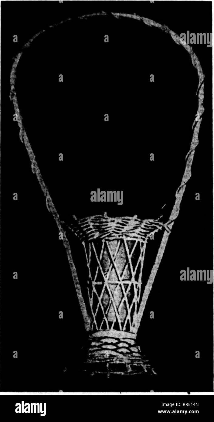 Opening flower basket hires stock photography and images Alamy