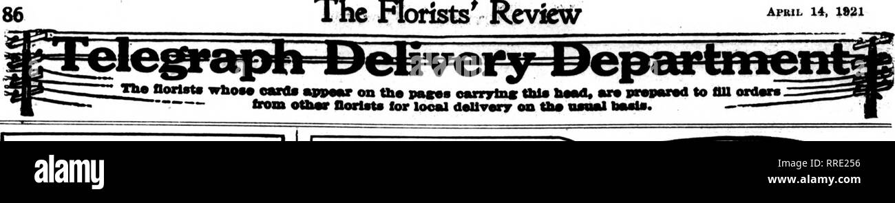 . Florists' review [microform]. Floriculture. The Rorists^ Review Apeil 14, 1921. DECATUR, ILLINOIS DAUT BROS. P. T. D. 120 E. Prairie St. FREEPORT, ILL. Bauscher Bros. Floral Market Ektablished 1868. Inoonxnuted 1920. We are the largest growers in the northwest. 1,000,000 square feet of glass. All orders receive careful attention and prompt delivery. FREEPORT, ILL. AND VICINITY. FREEPORT FLORAL CO., Inc. The House of Quality and Service. Wholesale and Retail Growers. Member V. T. D. OTTAWA, ILL. LOHR'S GREENHOUSES Fancy Cut Flowers and Blooming Plants. Good R. R. Service. Orders filled prompt Stock Photo