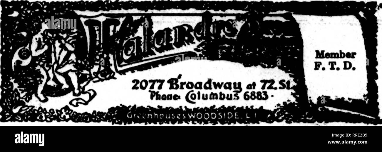 Clt Black and White Stock Photos & Images Alamy