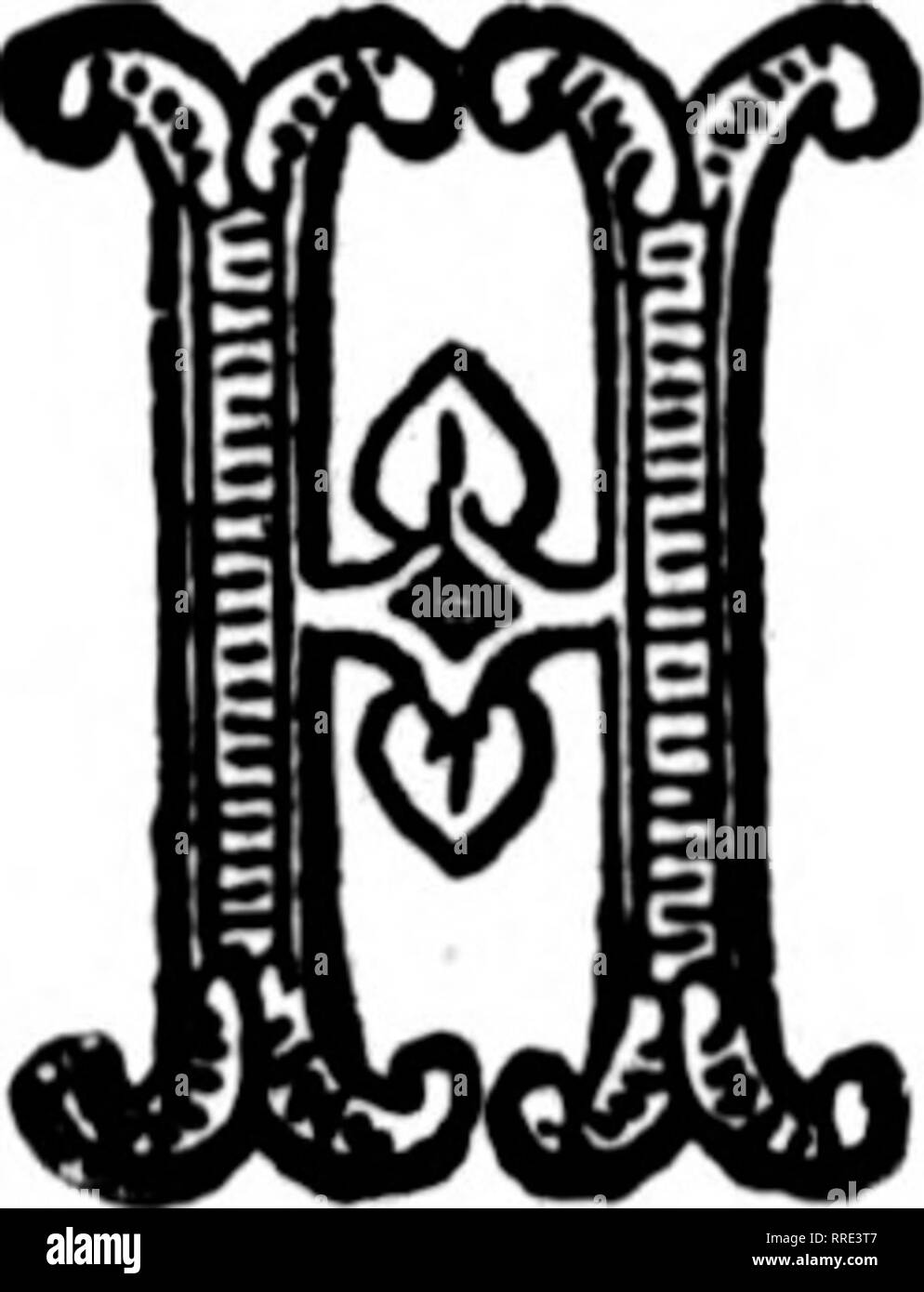 Page 10 Liad High Resolution Stock Photography And Images Alamy