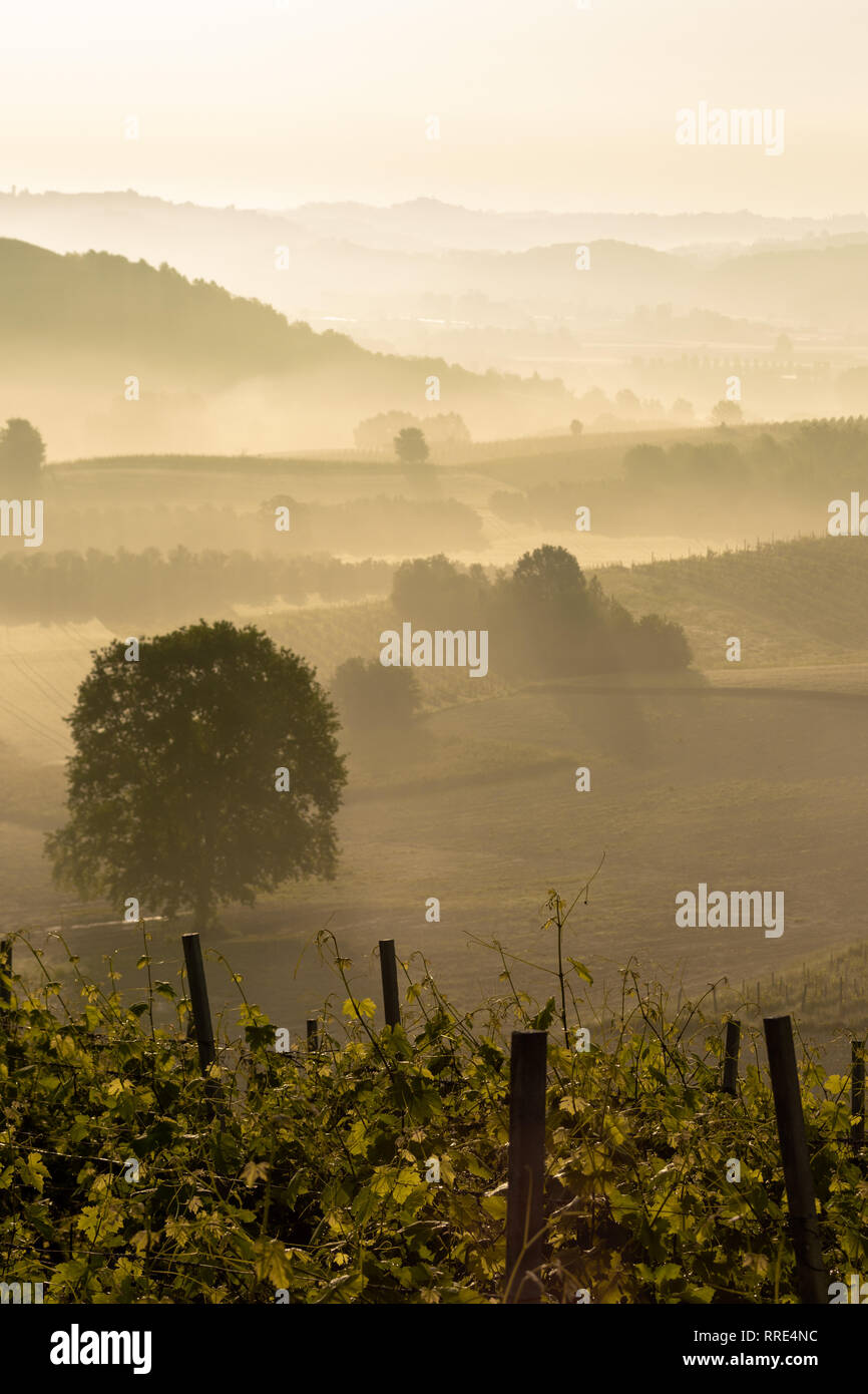 Fog rolling over hills hi-res stock photography and images - Alamy