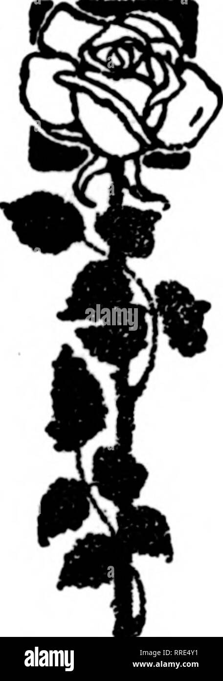 Page 10 T8 High Resolution Stock Photography And Images Alamy