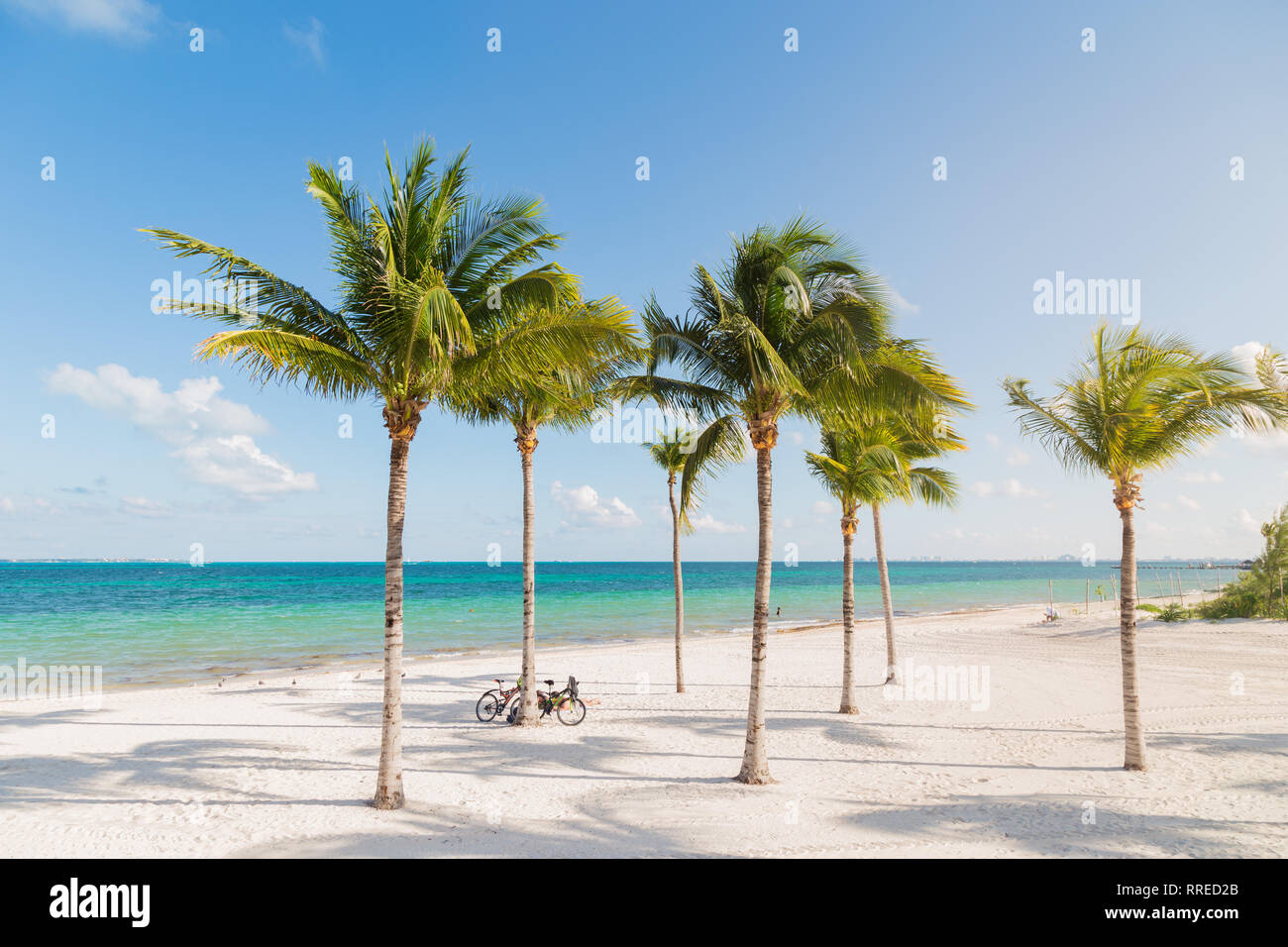 White sand beach in Cancun, Mexico, with palm trees with bicyles leaning up against them. Stock Photo