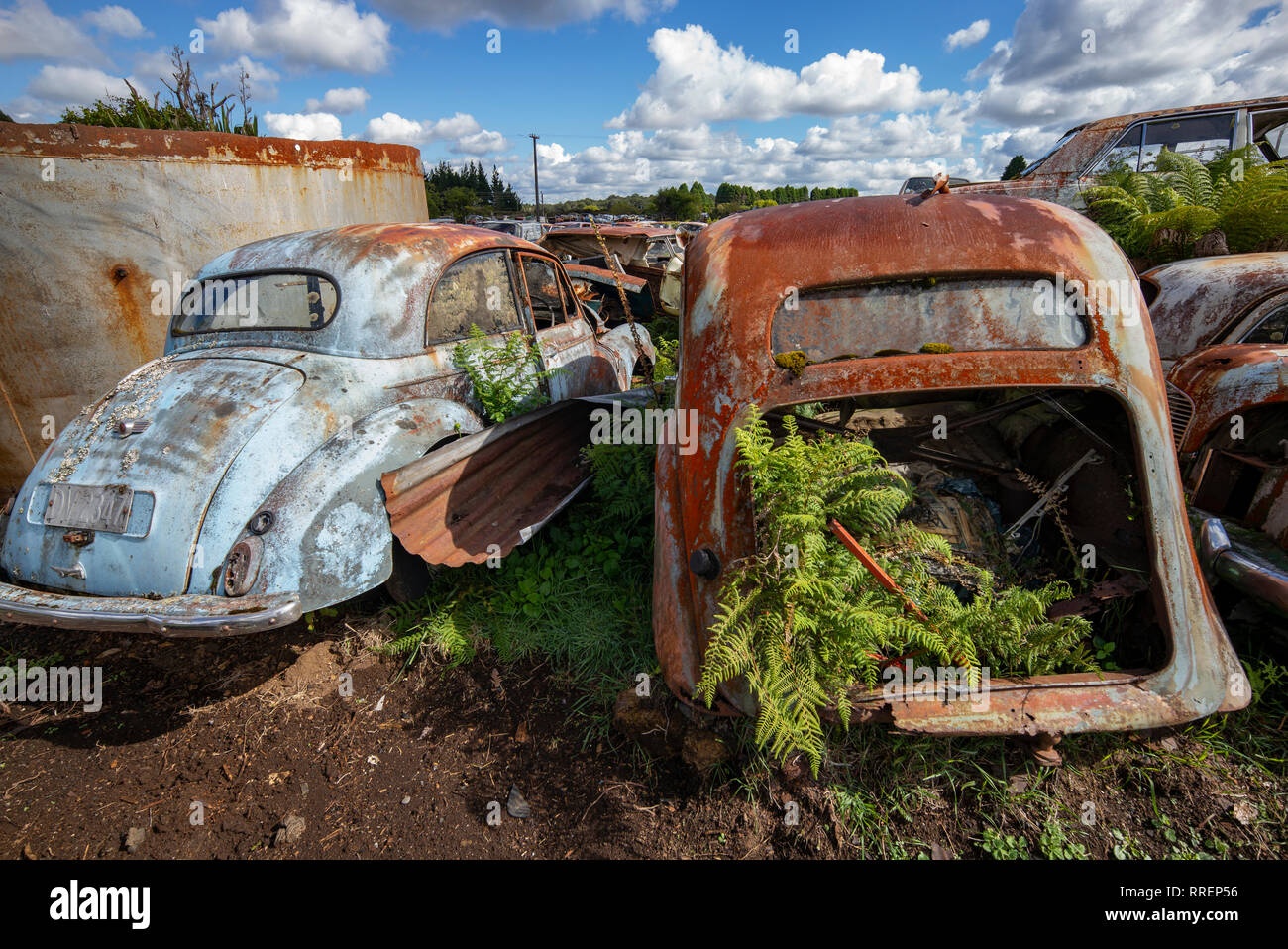 Smash Palace auto scrap yard on North Island, New Zealand. Stock Photo